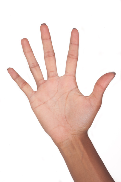 Hand signal isolated on white background - Photo, image