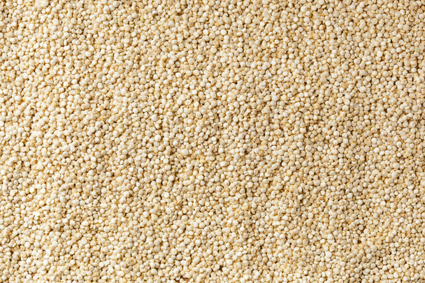 Raw Organic Quinoa Seeds - Foto, Imagen