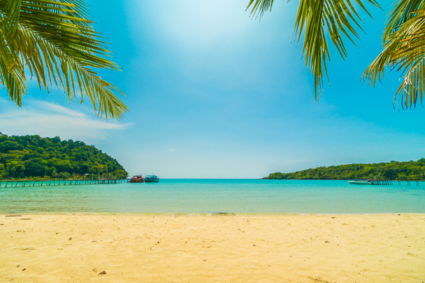美しい熱帯のビーチと旅行や休暇のための楽園の島のココナッツのヤシの木と海 - 写真・画像