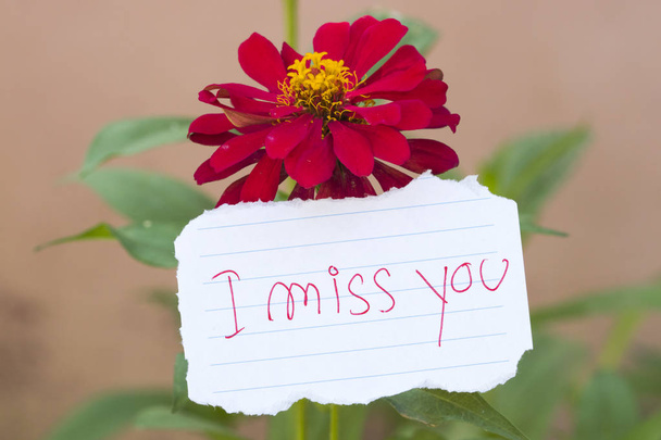 vous me manquez message carte écriture avec fleur colorée
  - Photo, image