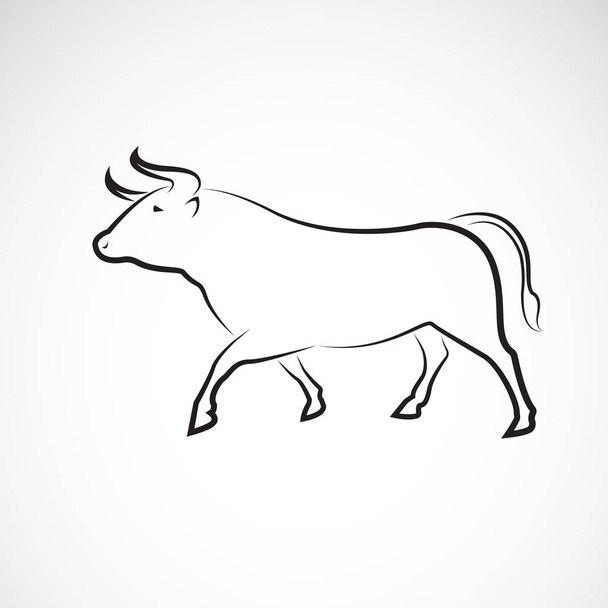 Vector van stier ontwerp op witte achtergrond, Wilde Dieren, Vector illustratie. Gemakkelijk te bewerken gelaagde vectorillustratie. - Vector, afbeelding
