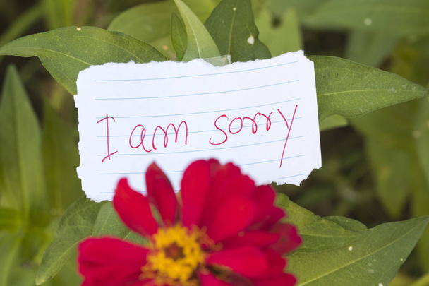 én vagyok szomorú üzenet kártya kézírás színes virág  - Fotó, kép