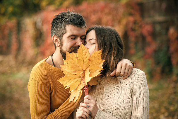 love and relations. autumn couple in love of happy man wnd woman with yellow maple leaves in park outdoor, - Photo, Image