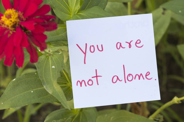 you are not alone message card handwriting with colorful flower  - Φωτογραφία, εικόνα