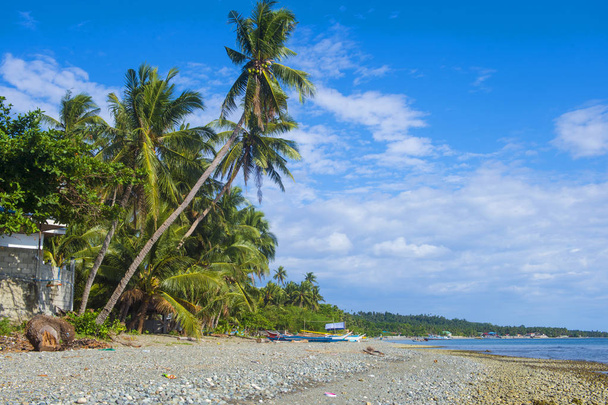 Tropisch strand in Marindique island, Filippijnen  - Foto, afbeelding