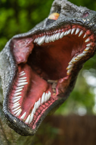 Denti affilati in bocca aperta di una statua di dinosauro Velociraptor
 - Foto, immagini