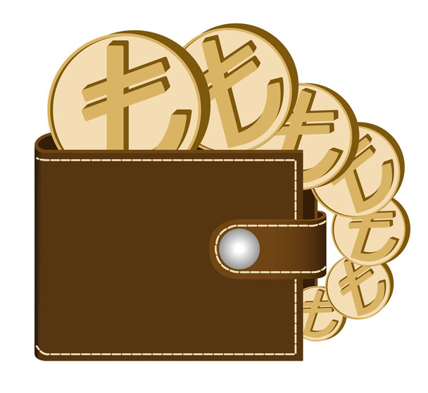 brown  wallet with lira coins - Vector, Image