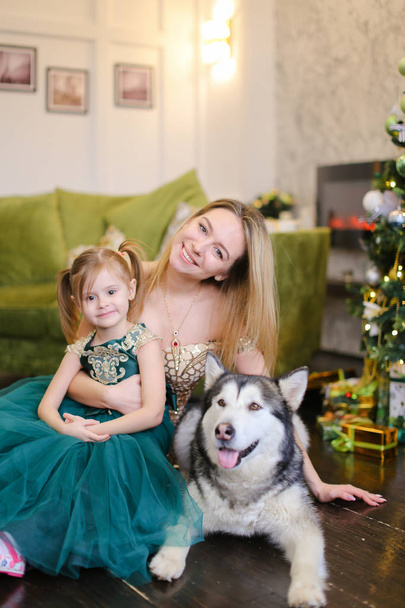 Jeune belle mère avec petite fille et malamute assis près de l'arbre de Noël
. - Photo, image
