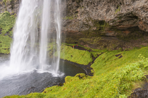 Close up of Seljalandsfoss waterfall - Iceland. - Foto, immagini