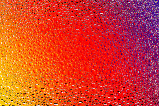 Nahaufnahme eines Wassertropfens auf rotem, orangefarbenem und violettem Hintergrund, bedeckt mit Wassertropfen - Kondenswasser. - Foto, Bild