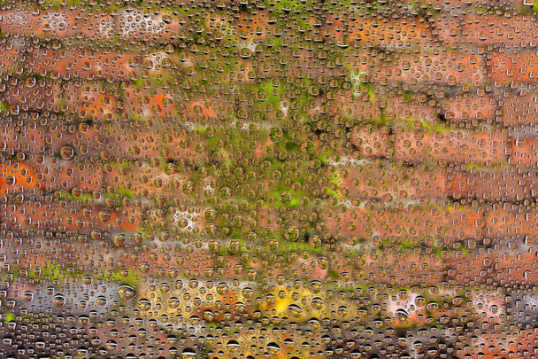 Close up of a water drops on a red old brick background with fresh moss , covered with drops of water -condensation. - Photo, Image