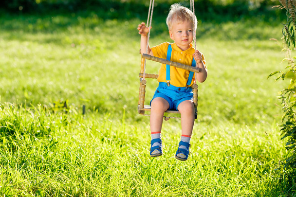 Portrait of toddler child swinging outdoors. Rural scene with one year old baby boy at swing. Healthy preschool children summer activity. Kid playing outside.  - Fotoğraf, Görsel