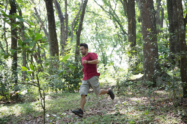 man running in the woods  - Photo, Image