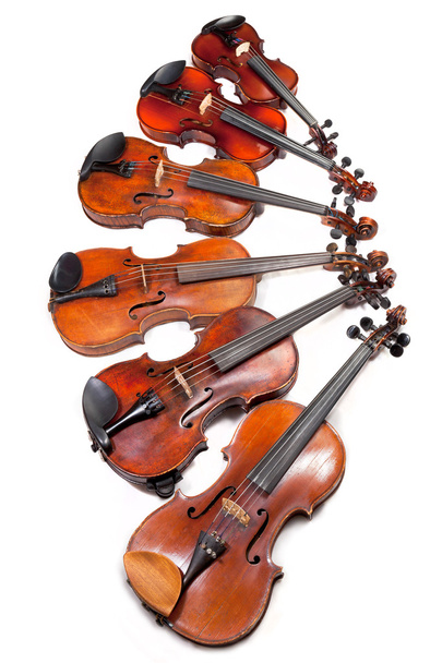 さまざまなサイズのバイオリン - 写真・画像