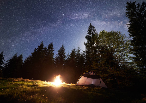 Night camping in mountains. Tourist tent by brightly burning campfire near forest under clear dark blue starry sky, Milky way. High pine trees on background. Beauty of nature and tourism concept. - Photo, Image