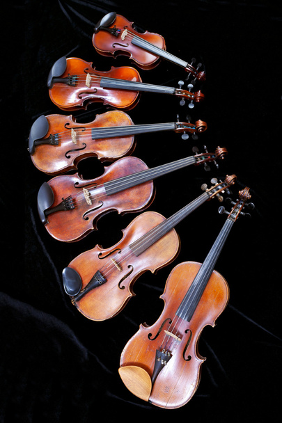 οικογένεια των διαφορετικών μεγέθους βιολί σε μαύρο - Φωτογραφία, εικόνα