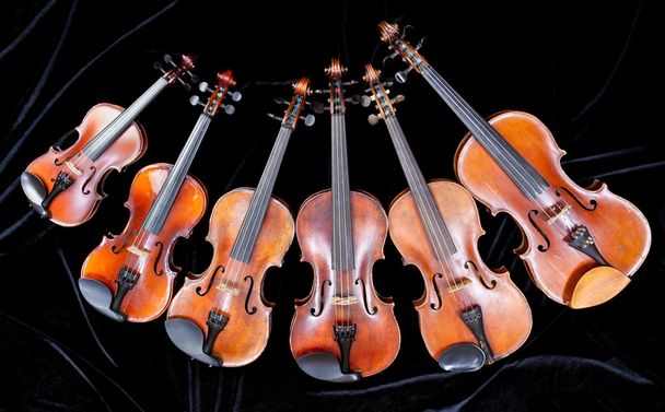familia de violines de diferentes tamaños en negro
 - Foto, imagen