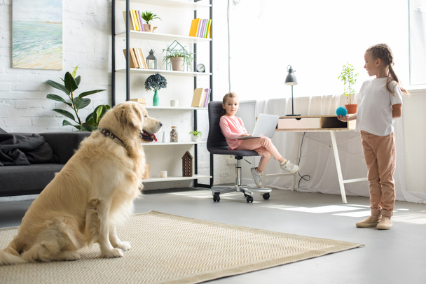 маленький ребенок играет с золотистым ретривер собака и сестра с ноутбуком сидит за столом дома
 - Фото, изображение