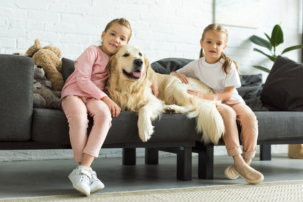 adorable kids hugging golden retriever dog while sitting on sofa at home - 写真・画像