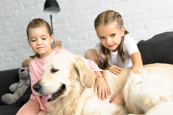 portrait of adorable kids with golden retriever dog at home - 写真・画像