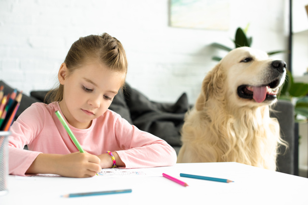 portrait of cute child drawing picture with pencils with golden retriever dog near by at home - Foto, Bild
