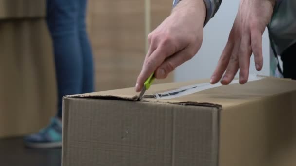 Couple unpacking cartons, decision to live together, new stage in relations - Séquence, vidéo