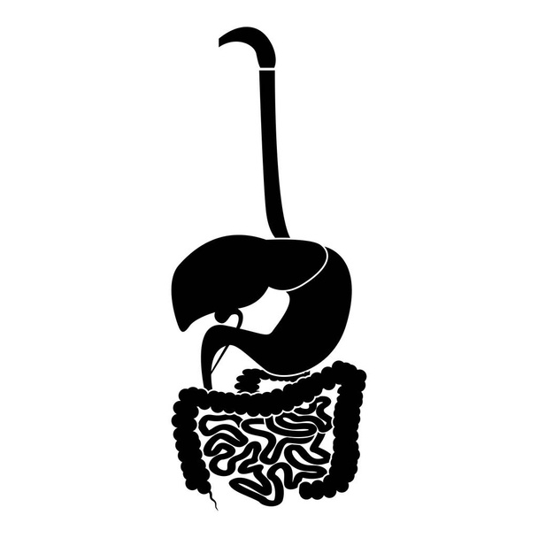 Verdauungssystem Symbol schwarz Farbvektor Illustration flachen Stil einfaches Bild - Vektor, Bild
