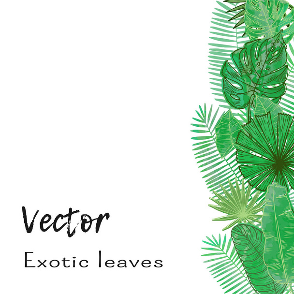 Vector frame with tropical leaves. Universal design for card, invitation, banner, poster, placard, cover. - Vecteur, image
