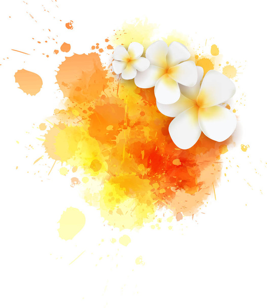 Abstract travel background with plumeria flowers on colorful watercolor splash - Wektor, obraz