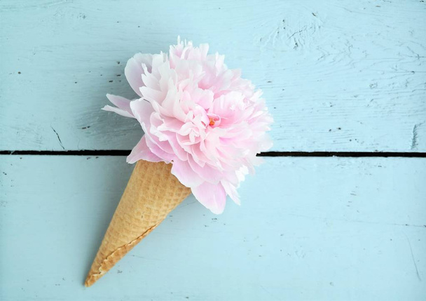 ρουστίκ ροζ παιωνία σε ένα παγωτό χωνάκι με παστέλ μπλε φόντο. δημιουργικό καλοκαίρι έννοια. όμορφο λουλούδι ξύλινο εκλεκτής ποιότητας φόντο. το top view και αντίγραφο χώρου - Φωτογραφία, εικόνα