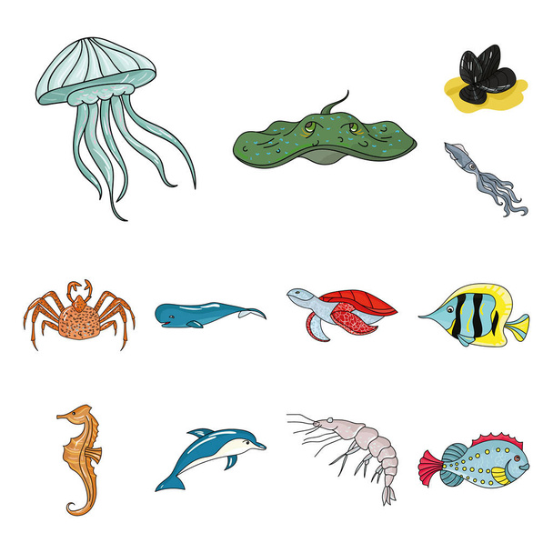 A variety of marine animals cartoon icons in set collection for design. Fish and shellfish vector symbol stock web illustration. - ベクター画像