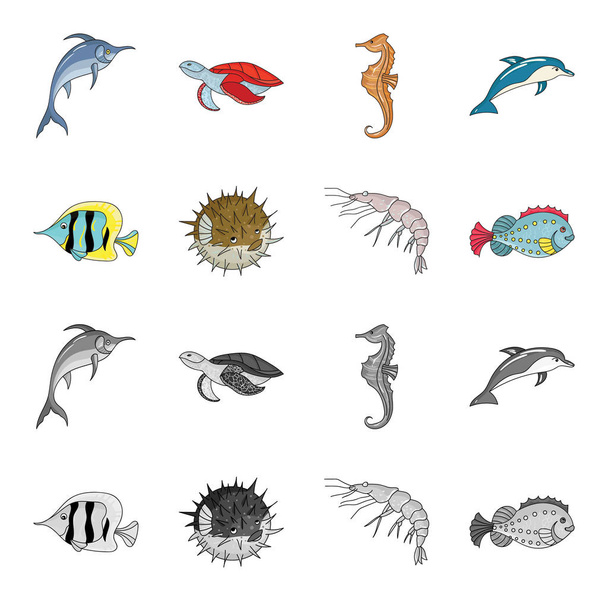 Shrimp, fish, hedgehog and other species.Sea animals set collection icons in cartoon,monochrome style vector symbol stock illustration web. - Vektor, obrázek