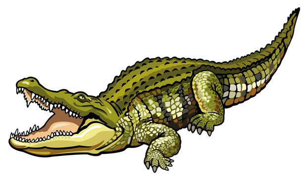 crocodilo-do-nilo
 - Vetor, Imagem