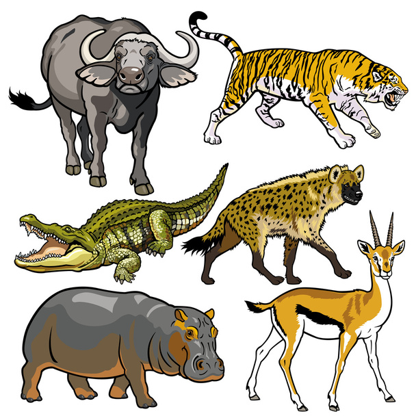 set with wild african animals - Vector, Image