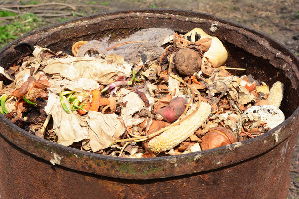 Detailní záběr na kovových kompost bin s potravin šrotu. - Fotografie, Obrázek
