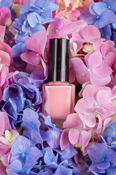 Mockup of pink varnish on hortensia flowers. Fashion and beauty concept in trendy pastel colors - 写真・画像
