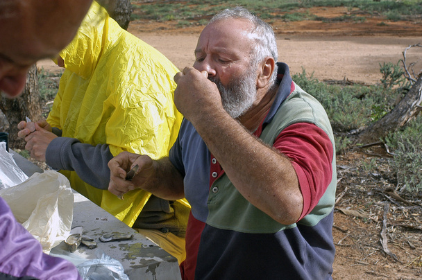 Australian oyster tasting on the roadside - Photo, Image