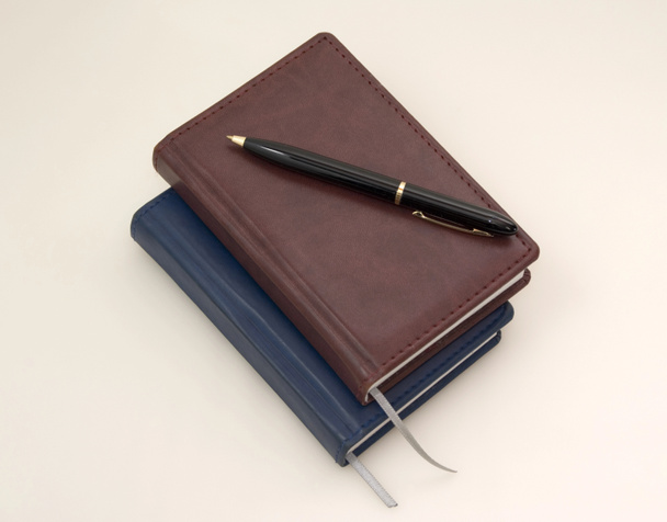 jemné deníky a černé pero - Fotografie, Obrázek