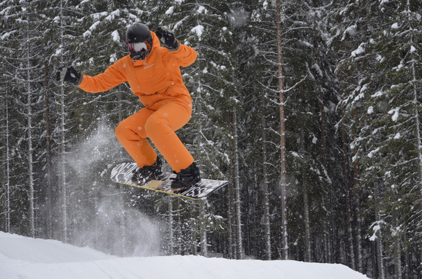 Snowboard. - Foto, Bild
