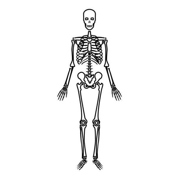 Человеческий скелет иконка черный цвет вектор иллюстрация плоский стиль простое изображение
 - Вектор,изображение