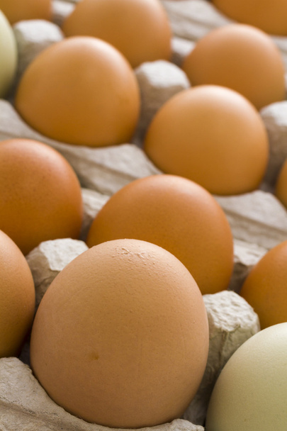 Fresh eggs - Fotoğraf, Görsel