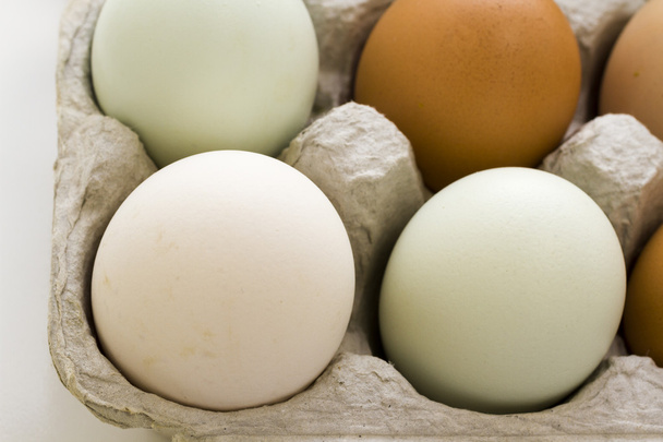 свіжі яйця
 - Фото, зображення