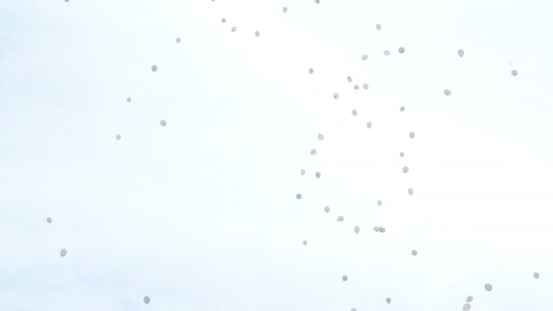 Palloncini bianchi volano nel cielo. Concetto di inquinamento atmosferico, il completamento del festival
 - Filmati, video