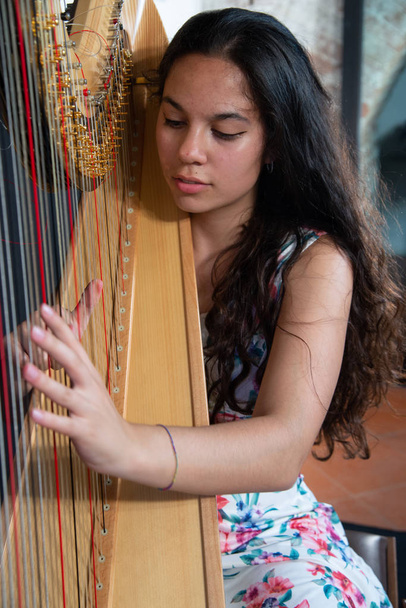 Close-up of a beautiful girl with long brown hair playing the harp. Detail of a woman playing the harp - Photo, Image