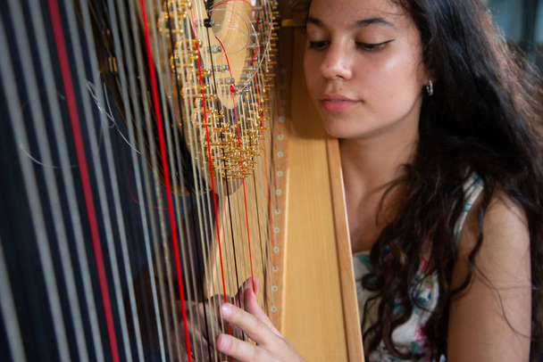 Close-up de uma menina bonita com cabelos castanhos longos tocando a harpa. Detalhe de uma mulher tocando harpa
 - Foto, Imagem