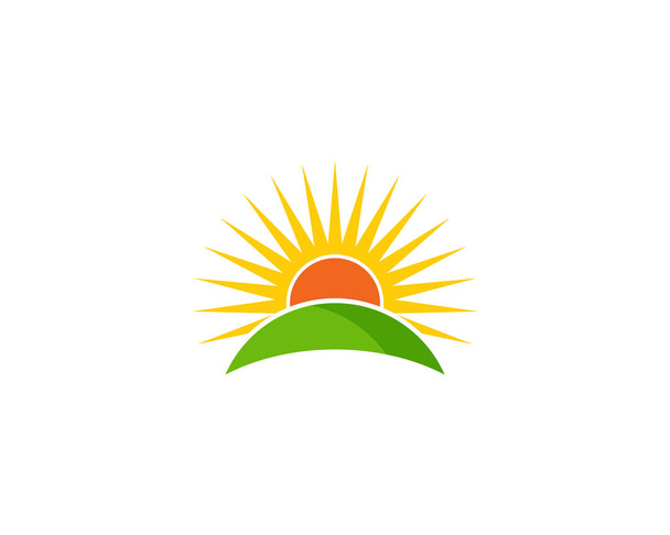 Sun Professional Logo ikonu Design - Vektor, obrázek