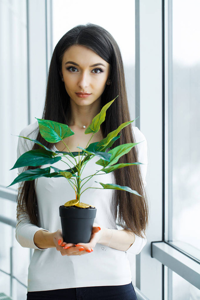 Woman holding, house plant with coins of bitcoin on the ground - Photo, image