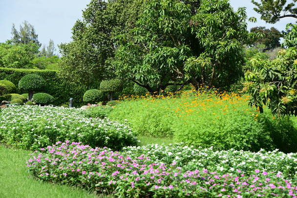 春の庭。色とりどりの花の美しい庭。造園された正式な庭。公園だ。美しい庭. - 写真・画像