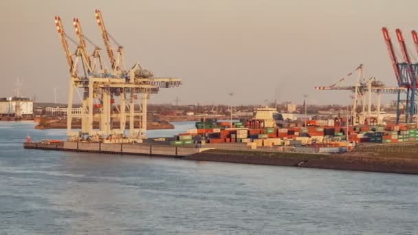 Pracujesz w terminalu cargo, Hamburg, Niemcy - Materiał filmowy, wideo