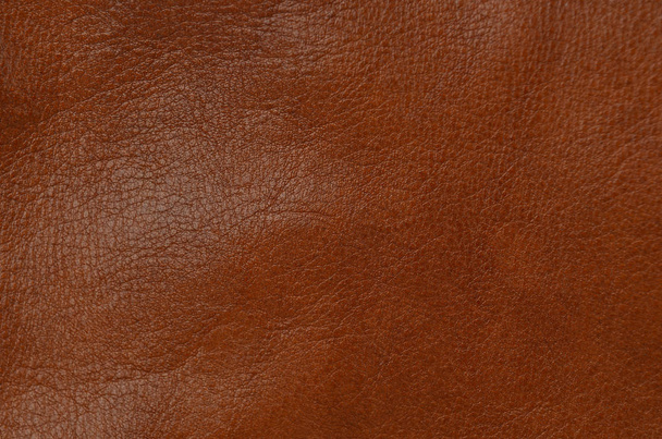 Gros plan de fond en cuir brun naturel - Photo, image